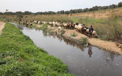 Wadi Gaza herstellen na jaren van verwaarlozing