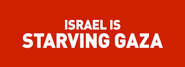 BTselem: Israël begaat de oorlogsmisdaad van hongersnood in de Gazastrook